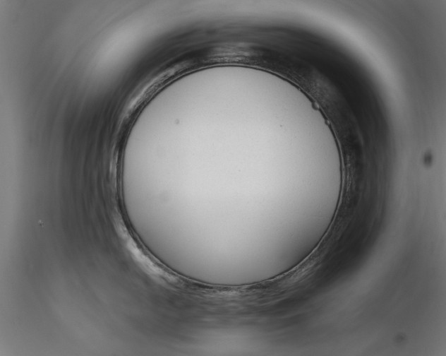 X0000116851054201001051502