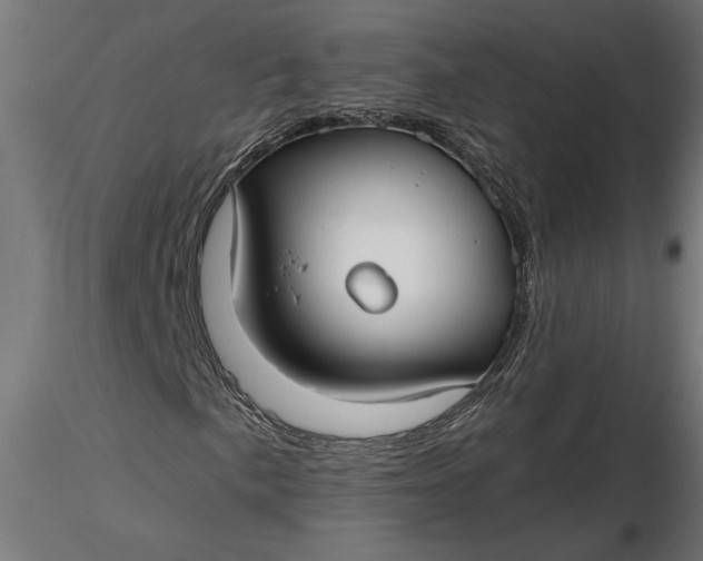 X0000116851057201001051501