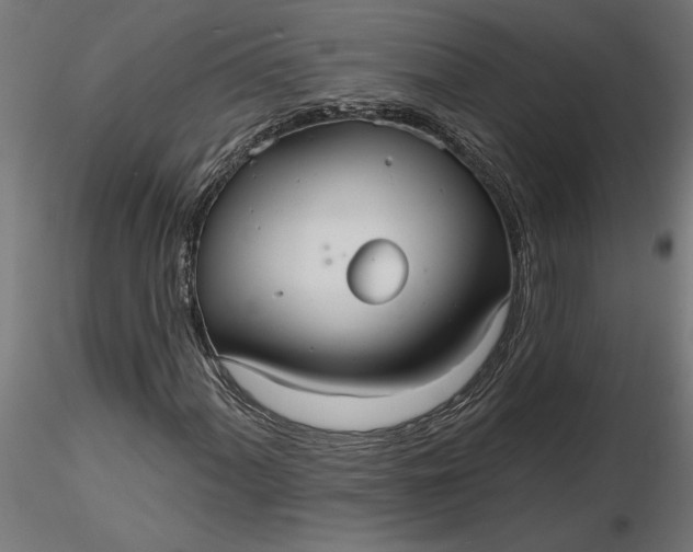 X0000116851060201001051501