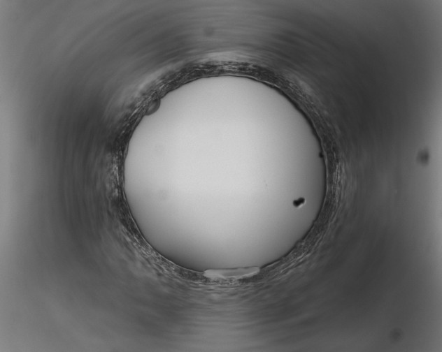 X0000116851062201001051501