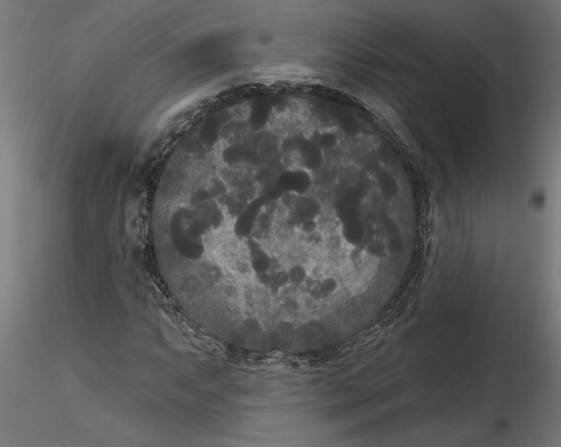X0000116851063201001051501