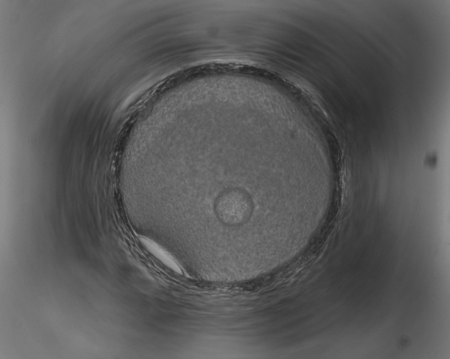 X0000116851064201001051501