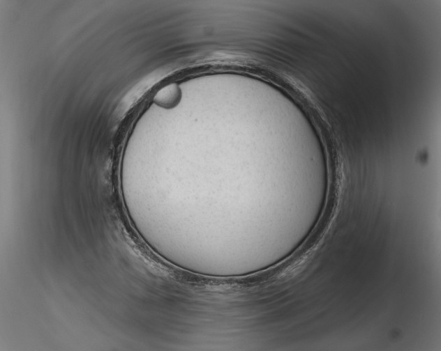 X0000116851066201001051501