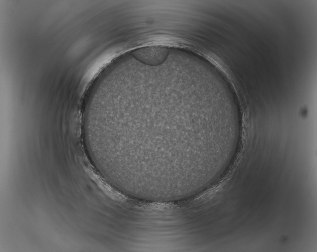 X0000116851067201001051501