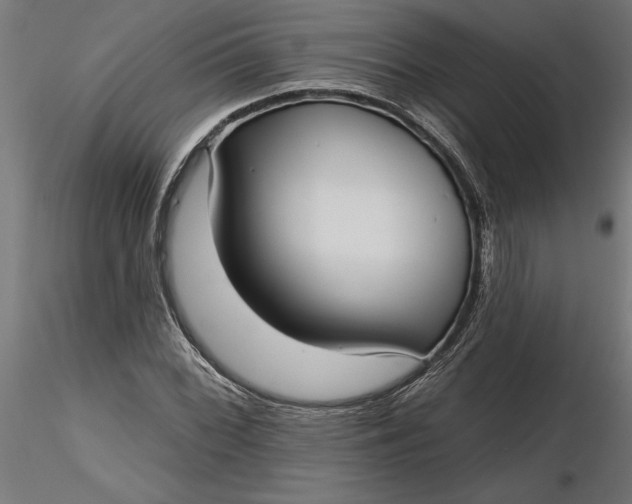 X0000116851068201001051501