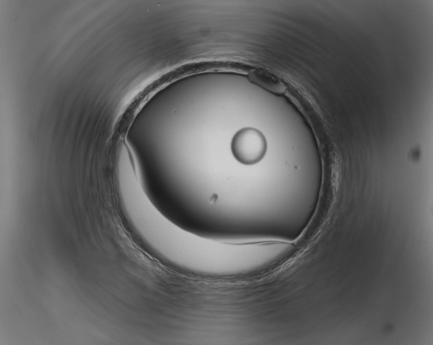X0000116851069201001051501