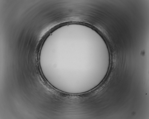 X0000116851070201001051501