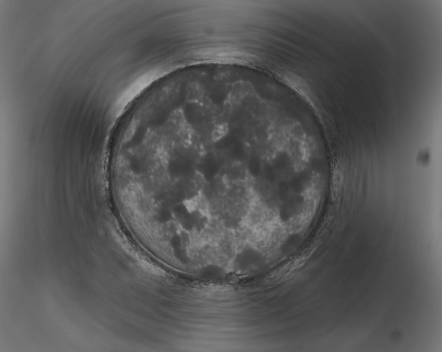 X0000116851071201001051501