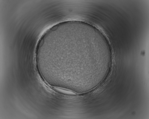 X0000116851072201001051501
