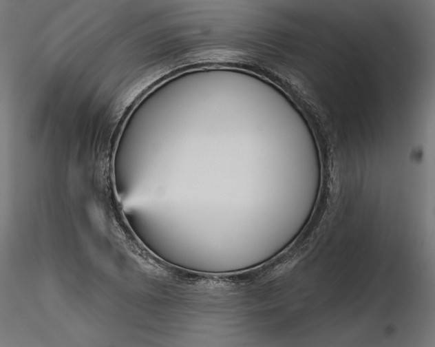X0000116851073201001051501