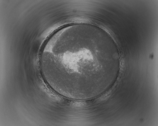 X0000116851074201001051501