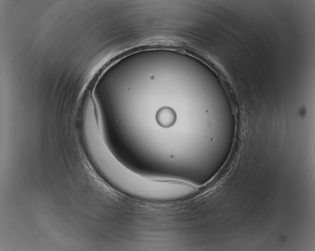 X0000116851075201001051501