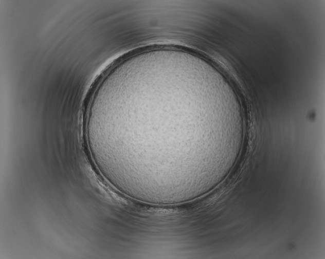 X0000116851076201001051501