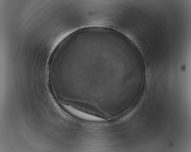 X0000116851077201001051501