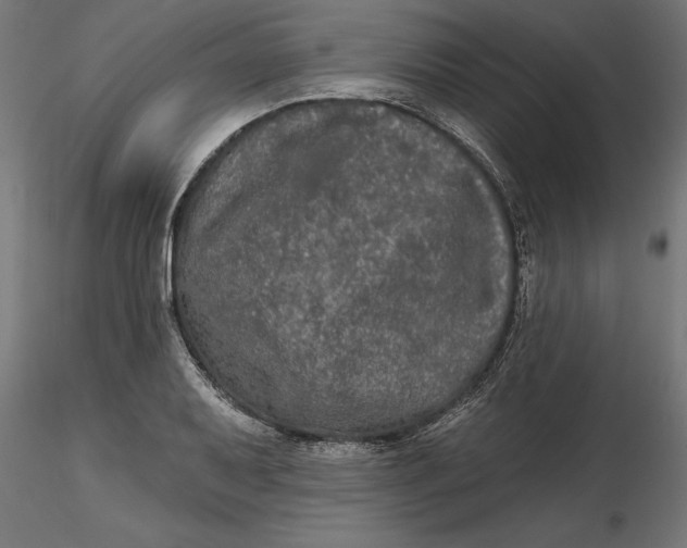 X0000116851079201001051501