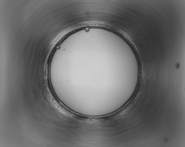 X0000116851082201001051501
