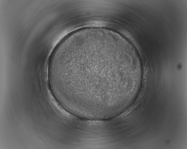 X0000116851083201001051501
