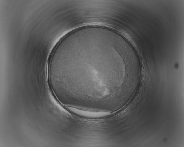 X0000116851084201001051501