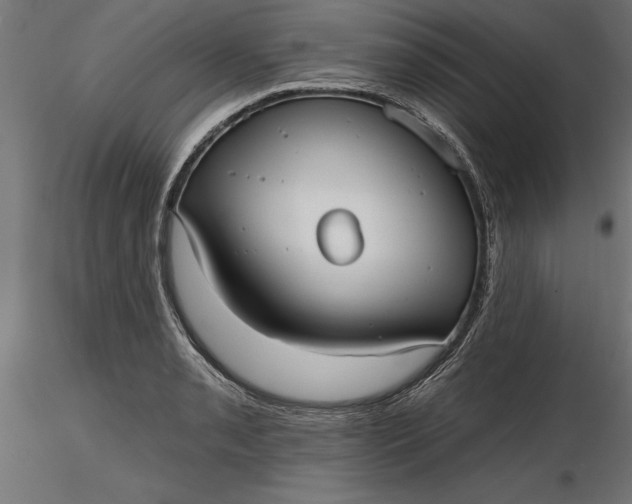 X0000116851085201001051501