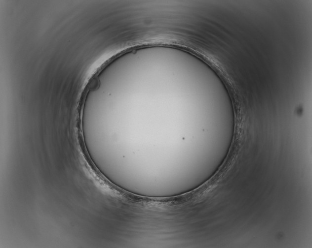 X0000116851086201001051501