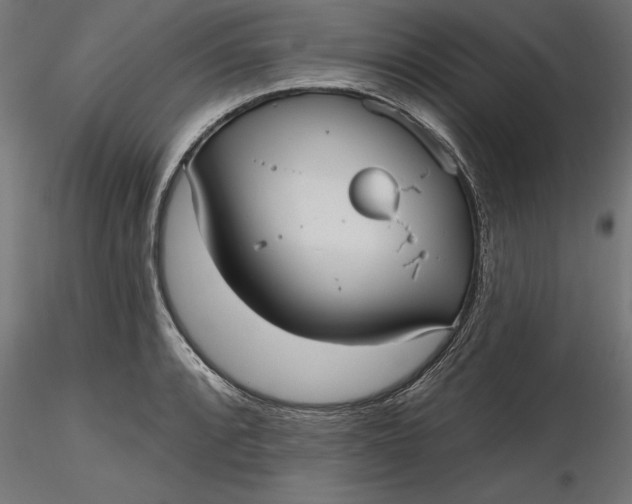 X0000116851088201001051501