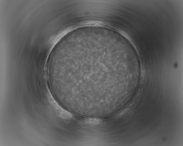 X0000116851090201001051501