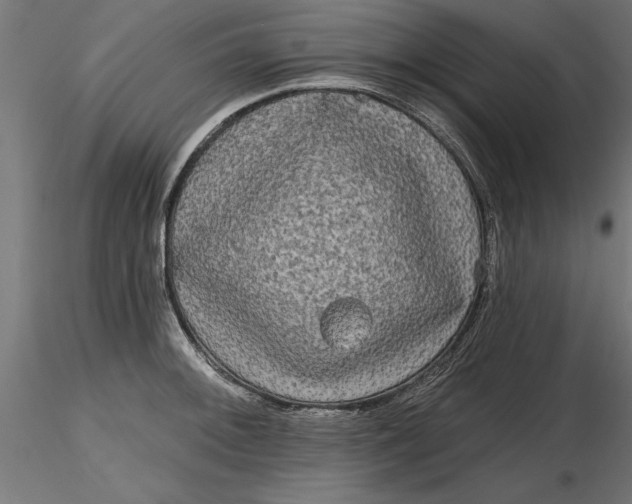 X0000116851092201001051501