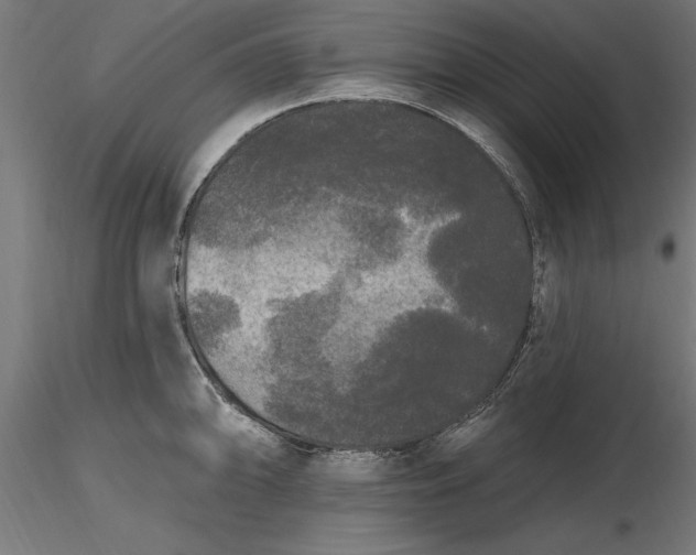 X0000116851094201001051501