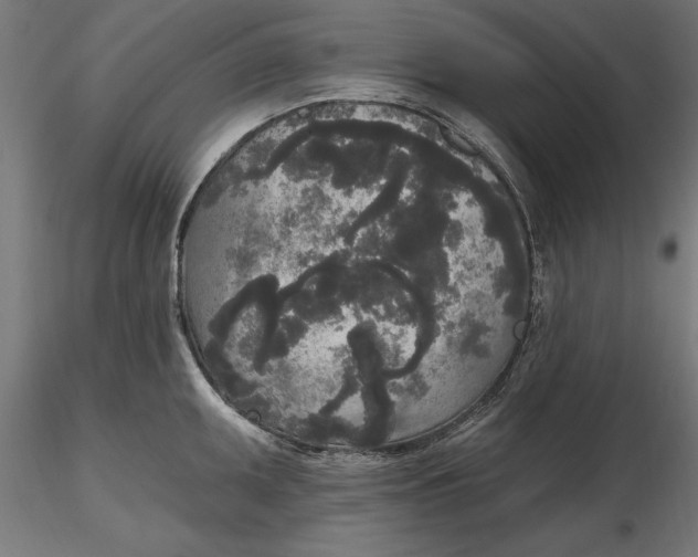 X0000116851095201001051501