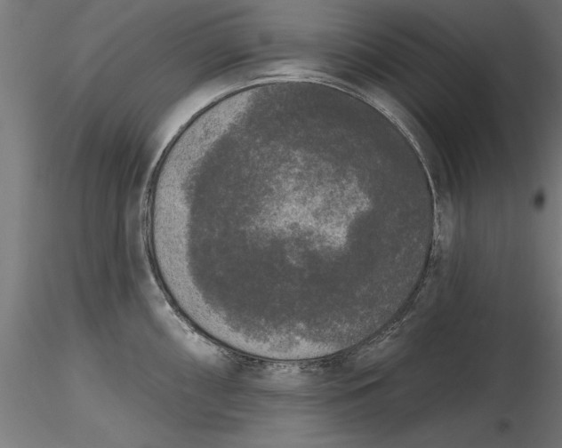 X0000116851098201001051501