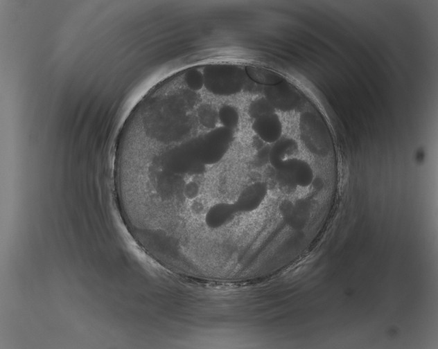 X0000116851099201001051501