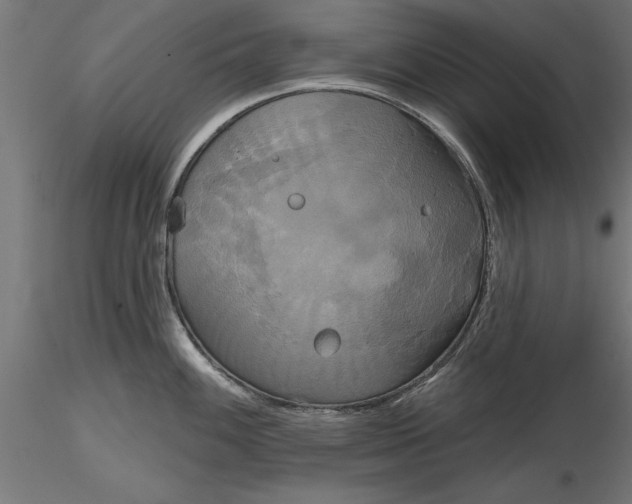 X0000116851100201001051501