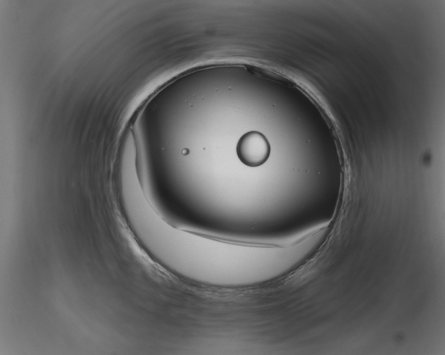 X0000116851101201001051501