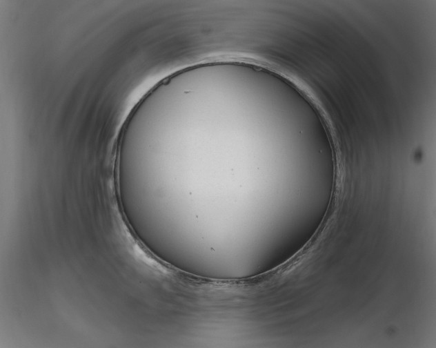 X0000116851102201001051501