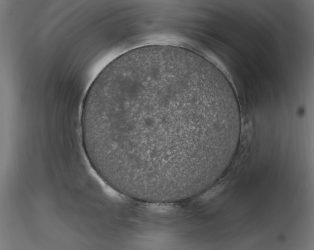 X0000116851103201001051501