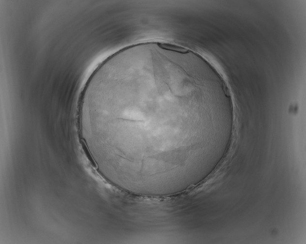 X0000116851104201001051501