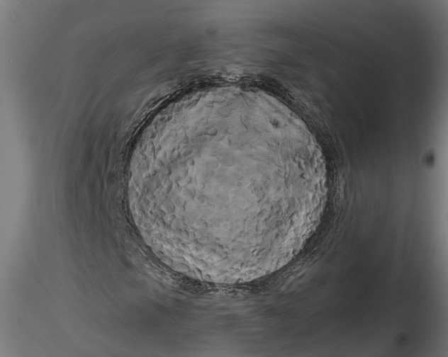 X0000116851105201001051500