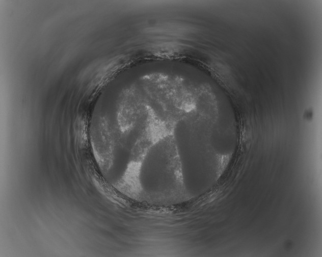 X0000116851106201001051500