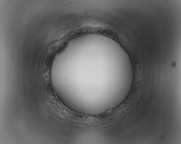 X0000116851109201001051500