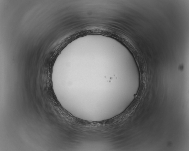 X0000116851111201001051500