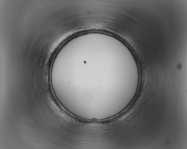 X0000116851118201001051500