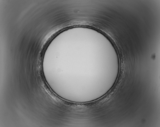 X0000116851119201001051500