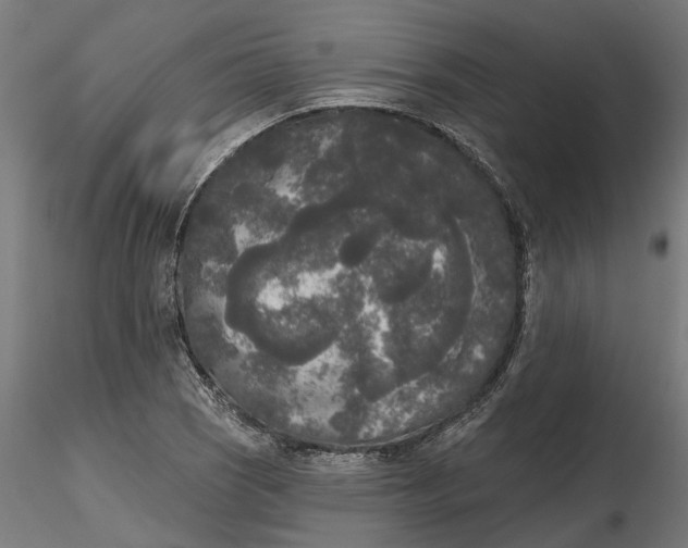 X0000116851121201001051500