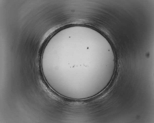 X0000116851122201001051500