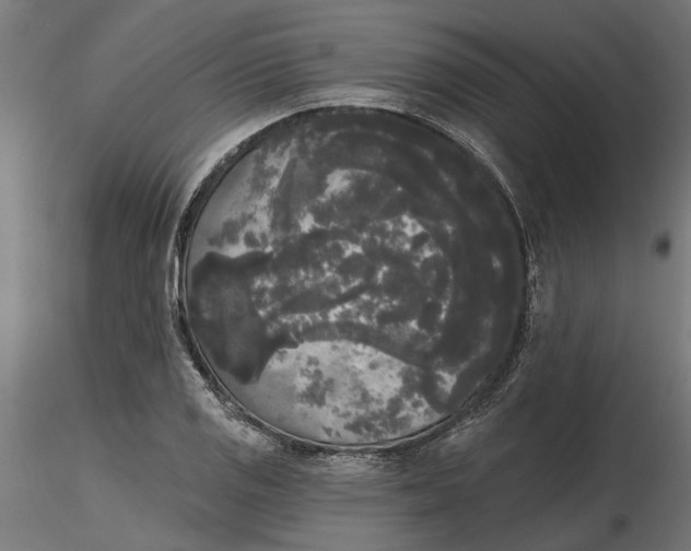 X0000116851125201001051500