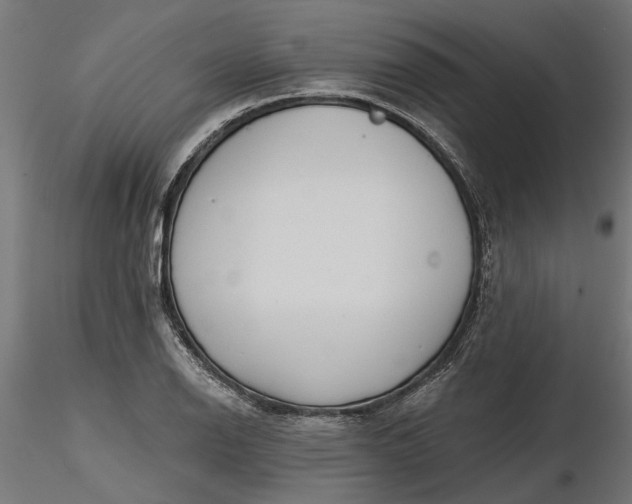 X0000116851126201001051500