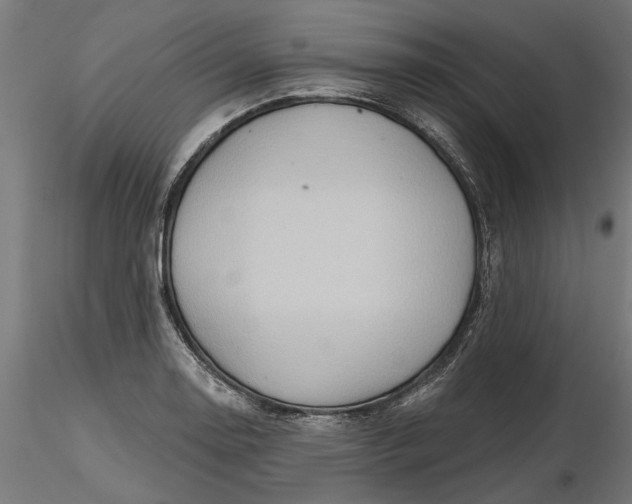X0000116851130201001051500
