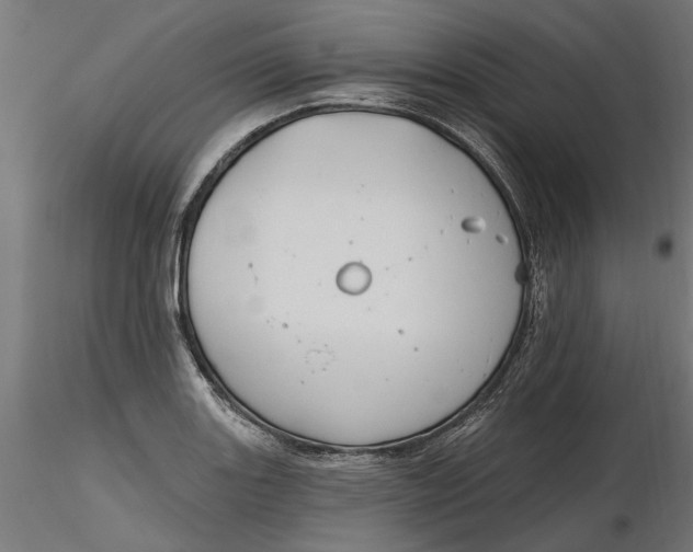 X0000116851131201001051500