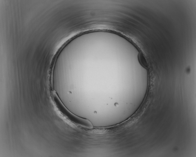 X0000116851134201001051500