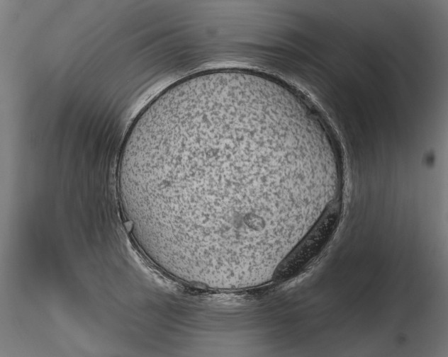 X0000116851137201001051500